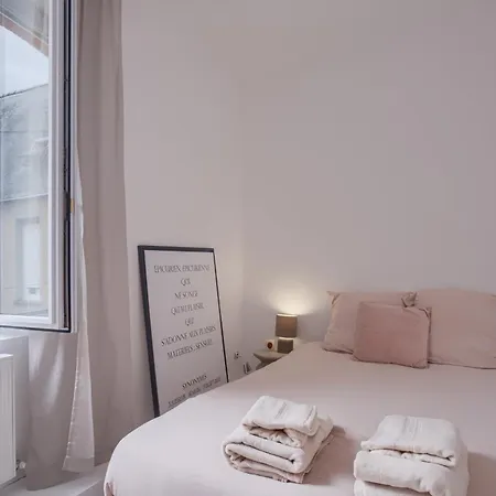 L'élégante - Petfriendly - Proche Gare * Laval (Mayenne)